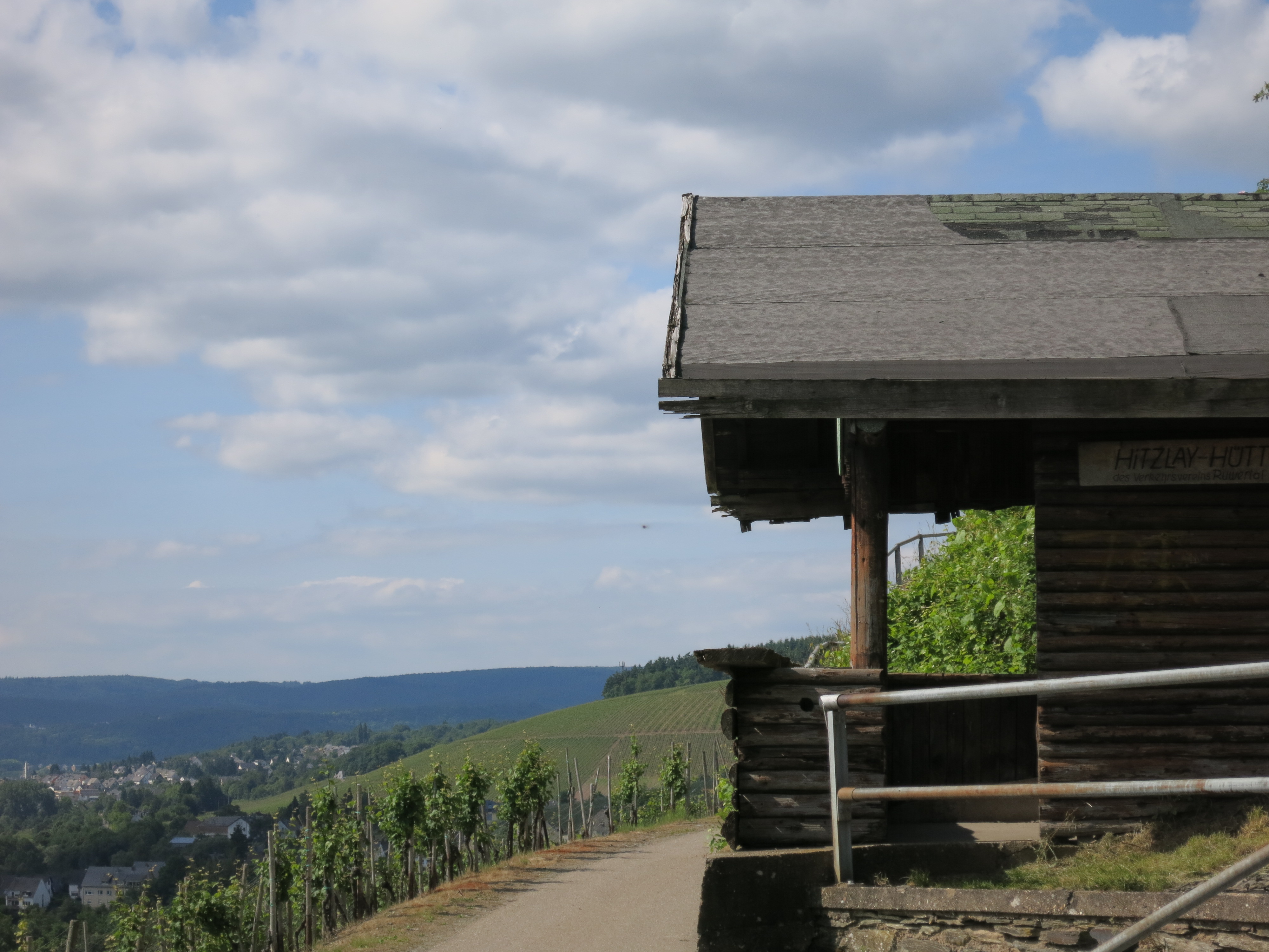 In den Weinbergen der Ruwer